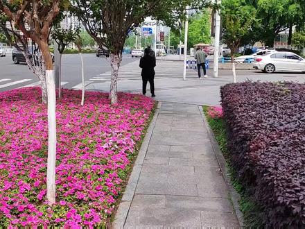 对于山城重庆来说,平原大都市梦在这里实现 #街景随拍 #街头随拍