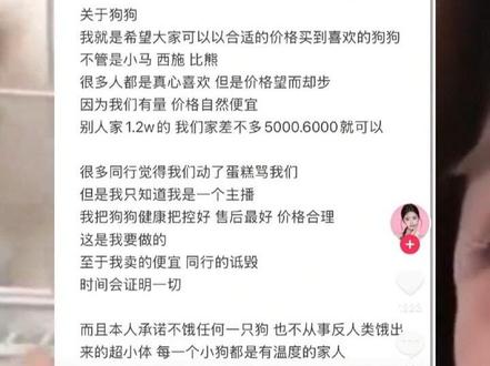 韩安冉回应直播卖宠物狗,“合适价格买到喜欢的狗狗”#韩安冉#直播#宠物