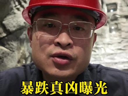 金价暴跌的“真凶”!散户恐慌割肉,国内机构却在疯狂扫货,今年买金铁律变了! #黄金走势 #今日金价 #实物黄金 #黄金 #真实生活分享计划