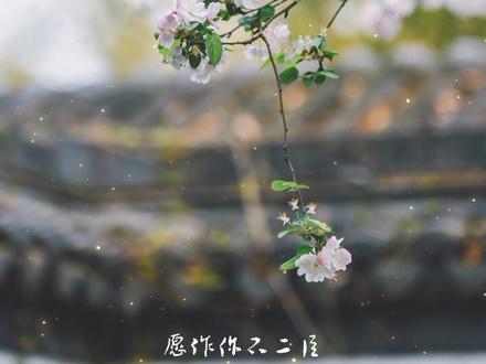 明筝十六岁那年,听从家中安排,嫁给了各方面都格外出众的承宁伯世子,从此一心相夫教子,只盼一辈子风光尊荣。转眼成婚八年,明筝恪尽一门宗妇职守,兢兢业业打理着家中庶务。
直到丈夫梁霄凯旋那日,他带来一个女人,且有了身孕。
当晚,大着肚子的美艳新人瑟瑟上前,正欲行礼,不知怎么,却在明筝脚下绊了一跤,险些摔倒。
明筝凝眸看去,梁霄脸色铁青,新人无辜含泪,众人一脸不赞同。
明筝嘴角的笑沉了下来。
没人知道,嘉远侯陆筠年少时曾深深爱慕过一个姑娘。未及求娶,便受命匆匆上阵杀敌。三年疆场打滚,再归来时,姑娘已为人妇。
陆筠变得越发寡言冷漠,一头扎进军营,在塞外拼死征战。
眼看陆筠镇日出入军营,身边围着的全是不修边幅的大老粗,他宫里那位德高望重的外祖母坐不住了,要在世家闺秀里替他选一个人来赐婚。陆筠无奈吐露心声:“心上人是早有了,可惜罗敷有夫。”
外祖母眯眼笑道:“那还不简单?赐她出家,等风头过了,再娶回来就是。”
#每日推文 #男二上位#甜文