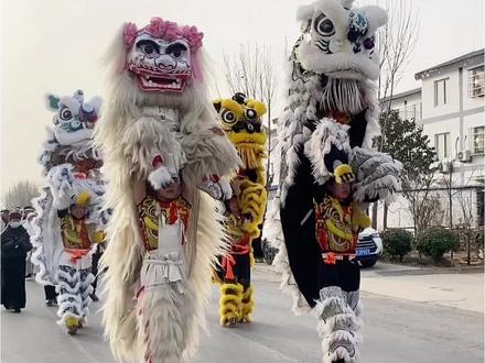 #小白狮#东明少林建武堂 #舞狮 #小白狮醉酒专场 #小白狮二十四拜