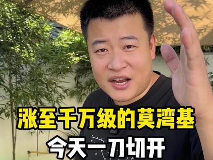 千万级的莫湾基今天一刀切 #翡翠 #翡翠原石