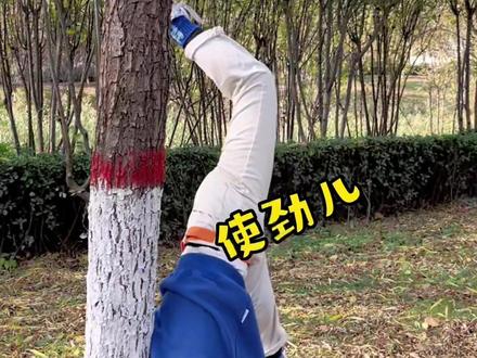 这次大家都没意见吧#世界杯预测