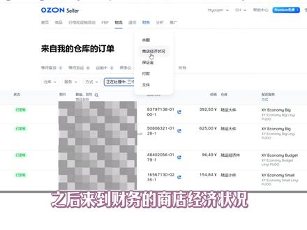 OZON账单查看流程 核价重中之重! #OZON #跨境电商#ozon运营 #青年创作者成长计划