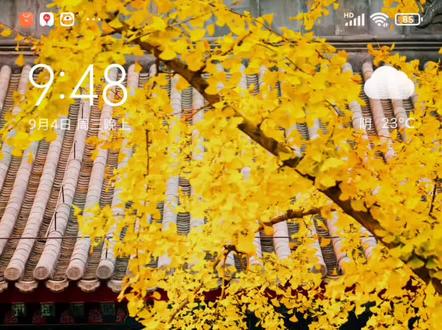 看回放看回放看回放!!!!