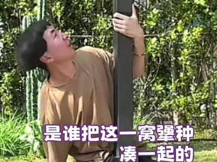就怕犟种凑一窝#盘腿抱柱子#搞笑#万万想不到