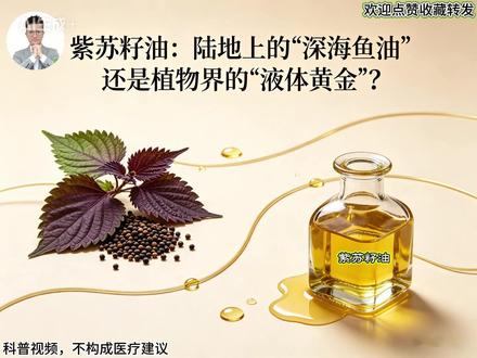紫苏籽油:陆地上的“深海鱼油”还是植物界的“液体黄金”?#紫苏籽油 #紫苏籽油怎么吃 #健康
