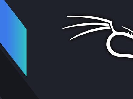 将kali-linux安装到U盘,随身携带,即插即用 #电脑技巧 #kali #linux #系统安装