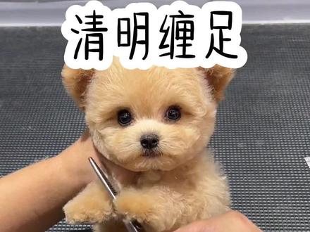 清 明 缠 足 #小说 #小说分享 #小说推文 #宝藏小说