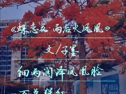 凤凰花下亦芬芳!#硬笔练字 #凤凰花开