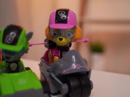 现在来做一个开箱--汪汪队立大功神奇小狗玩具,看看他们有多可爱 #玩具 #变形玩具 #解压玩具 #网红玩具