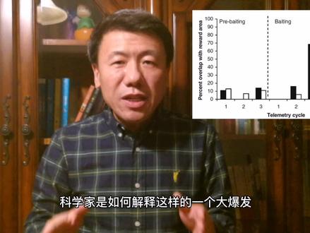 打窝多久能发窝?钓鱼人的问题科学家来解答