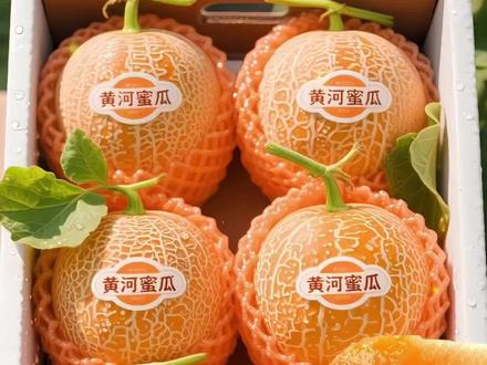 绝了,真的超好吃的黄河蜜瓜,果香浓郁,一口下去香甜多汁,真的超满足,一定要安排给家人尝尝。 #蜜瓜 #香瓜甜瓜 #黄河蜜瓜脆甜爽口 #快来尝个鲜J