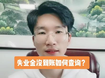 失业金没到账怎么办?失业补助金怎么查询到账情况?#失业金 #失业金领取 #失业补助金