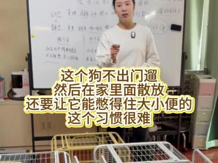 一个视频讲清楚,疫苗没打齐能不能出门遛狗,在家散放就随地大小便怎么办