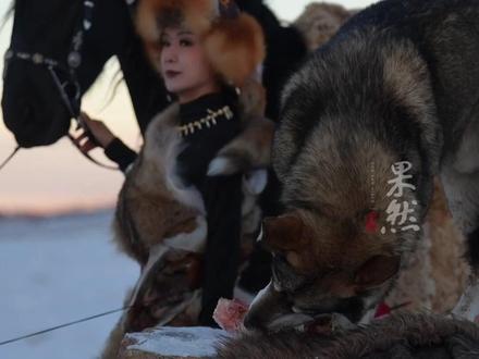 贺娇龙受伤、救治细节披露:拍摄时马疑受惊吓冲了出去,后诊断为重度颅脑损伤,接受2次开颅手术