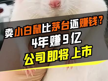 卖小白鼠比茅台还赚钱?4年赚 9 亿,公司即将上市#小白鼠#上市#医药