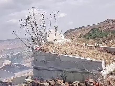 清明祭扫 #消防安全 【文明祭祀守护安全】清明祭扫,勿忘消防安全。文明祭祀,远离明火,不烧纸钱、不点香烛,严防山林火灾。守护平安,文明追思#【文明祭祀守 #在大理爱上生活 #清明 @情绪的尽头