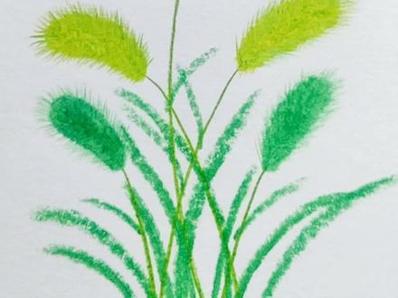 画狗尾巴草啦!#狗尾草画法#简笔画