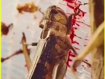 事情 #热点 #热点小助手 #热点60秒