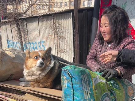 年怎么过的这么快!香香公主变卖破烂的小姑娘了😓 #壮壮是香香公主 #香香公主的伟唠哥 #香香公主 #卖破烂