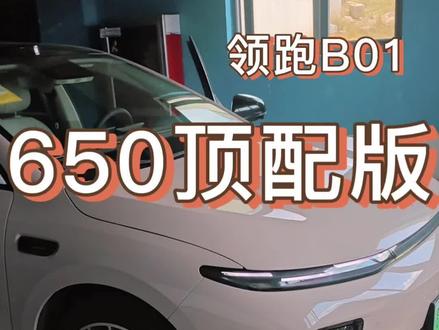 贵州第一批提车零跑b01续航更新#零跑 #零跑b01