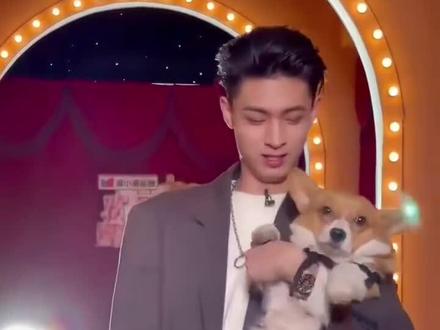 #欢乐喜剧人第七季 #秦霄贤 老秦在线遛狗 带着狗子一起营业🈺️