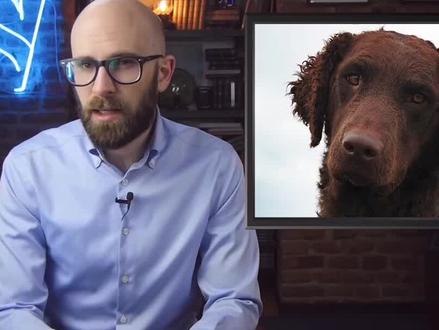 一起学习高级常用词汇:Sought- after 受追捧的,受欢迎的
#每天学习英语一点点 #雅思口语 #英语单词 #英语口语天天练 #生活英语