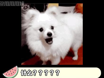 网红博主父亲涉嫌严重违纪违法被调查 #韩国留学 #便利店 #留学生 #网红