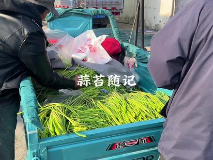 开封人最近的社交热点 “吃蒜苔吗?给你送点吧”
#蒜苔 #早市 #随拍