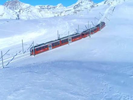 这些动物居然也有假期?而且比我们还久!一起看看冬眠的它们吧!