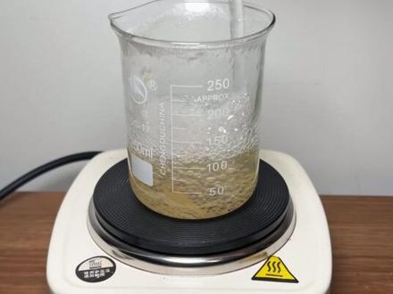 黏菌长得也差不多大了,迫不及待给它们跑个迷宫玩玩 #玩个很新的东西 #黏菌 #瓜子二手车