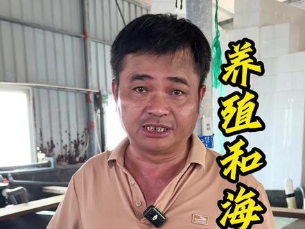 从外形、肉质和价格,教你辨养殖和野生鱼 #养殖鱼 #野生鱼 #石斑鱼 #螺类 #东星斑
