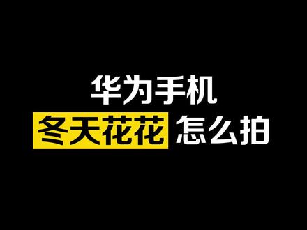 #冬天花花怎么拍呢?#手机专业模式把平淡无奇的花花拍出单反大片感!#专业模式 #华为#手机摄影 #华为mate40 #花海遇见你 #花的世界很美
