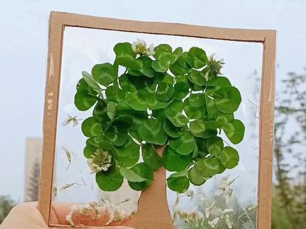 大自然的兴趣一课——带孩子去室外踏青,用小草做出有趣的创意画,把春天装进画框里!寻找美丽的春天 #拥抱春天主题画 #自然美育 #亲子手工 #创意手工树叶画 #幼儿园手工