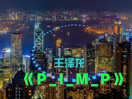 经典DJ舞曲《P_I_M_P》王泽龙#dj舞曲 #车载音乐