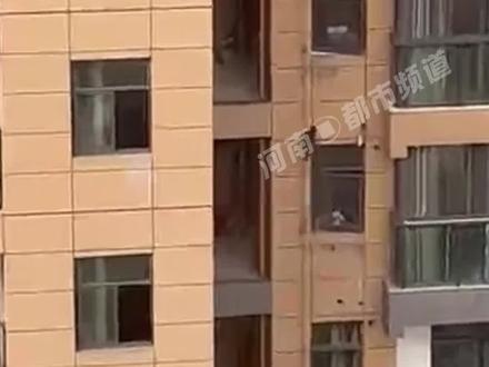 猴哥爬上小区高楼,上蹿下跳如履平地#意不意外