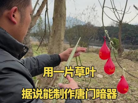 用一片草叶子,据说能制作唐门暗器,后续来了