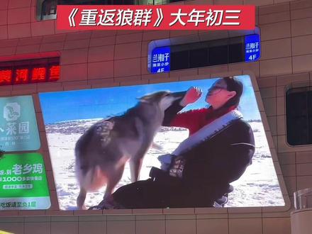 #重返狼群 大年初三正式上映!
再见格林!你的故事值得被看见!
#狼王格林 #李微漪 #电影重返狼群春节重映 #格林