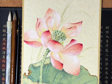 第3集|没骨画入门教程-荷花 宝子们要的荷花教程来了,非常简单入门,赶紧学起来#国画#国画入门教学 #绘画教程 #没骨画 #跟着抖音学画画