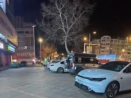 牌照被大爷捡到了 给我送回来了 我得整两包烟谢谢大爷 #日常vlog