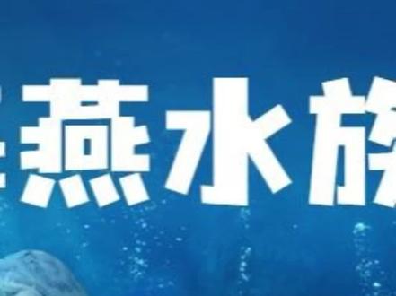 你们要的大大大大大型水族馆来啦#水族馆 #观赏鱼 #热带鱼 #江宁海燕水族馆