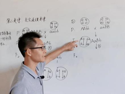 高中生物解题技巧—完全连锁定律(2)#高中生物#遗传学 #完全连锁