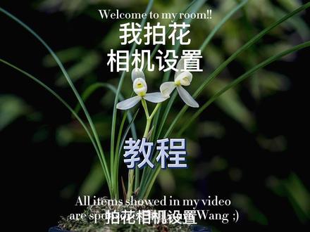 拍出美丽的花朵 相机设置教程#相机参数设置 #实战相机参数设置 #摄影教学 #摄影师