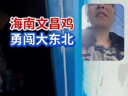 海南文昌鸡到东北水土不服了!#张铁牛 #海岛微醺椰 #春节年夜饭大赏 #南北差异 #祝你马上成功马上发
