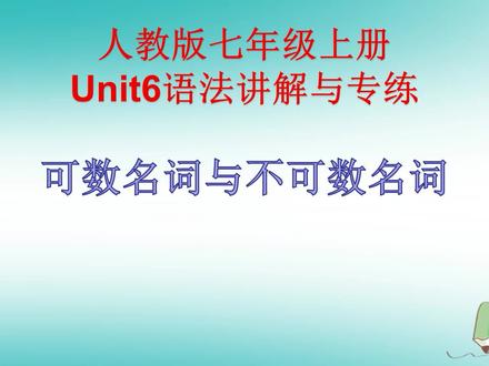 人教七年级英语上单元语法精讲专练Unit6—可数名词与不可数名词