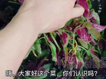 农村人从小吃到大的野菜,浇到米饭上,好看又好吃,营养还高