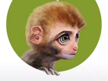 属猴人几月岀生命最好?