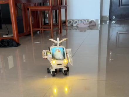 给老肥手搓了台机甲#玄凤鹦鹉 #小老肥 #自制鹦鹉玩具 #手工diy #机甲