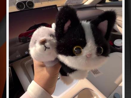 毛绒萌宠可以陪伴开车!雷军真的懂情绪价值 #新一代小米SU7 #小米新SU7首发评测